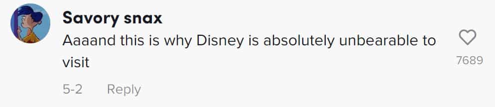 Disney adult comment 2
