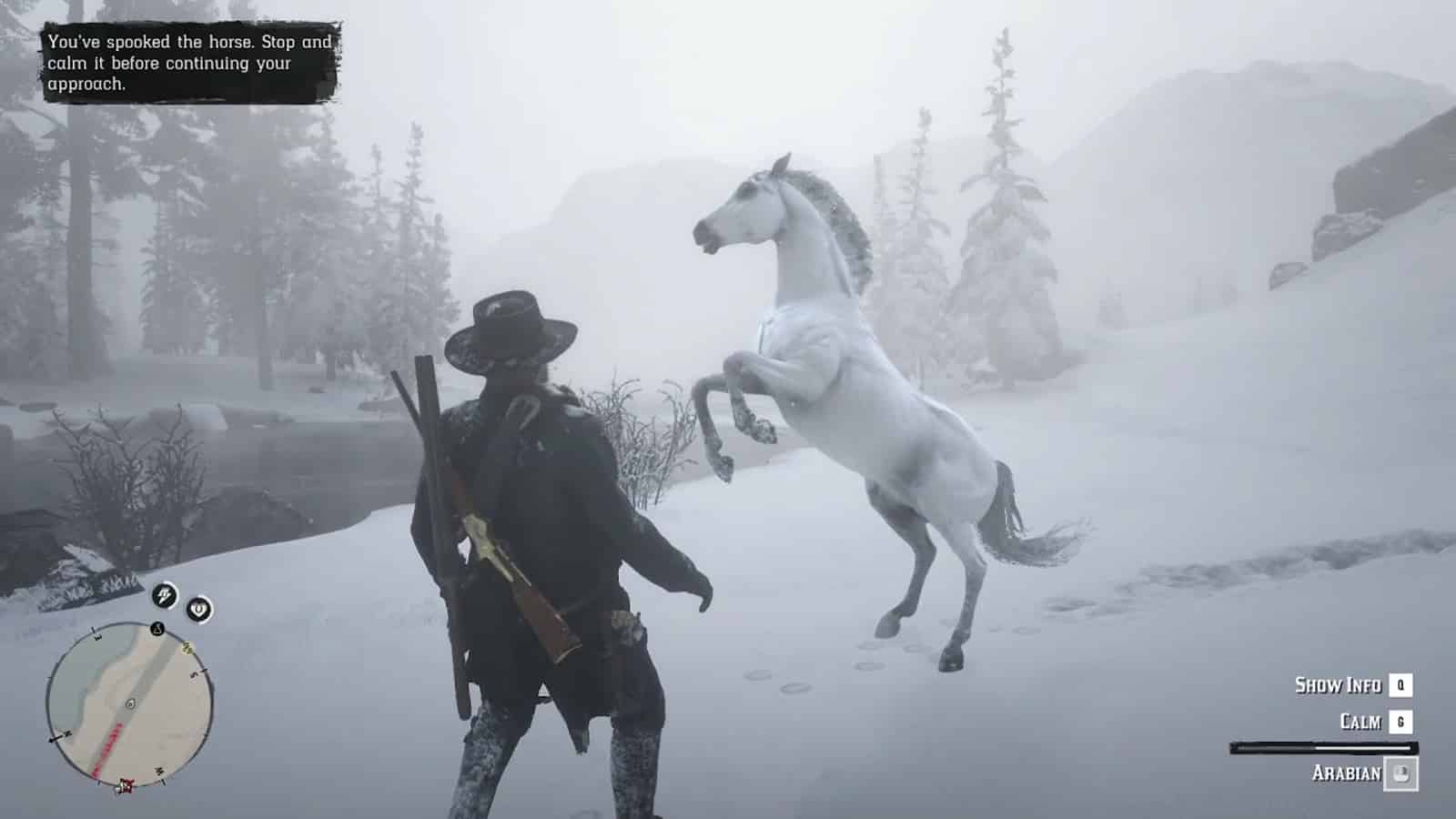 White Arabian Horse Red Dead Redemption 2