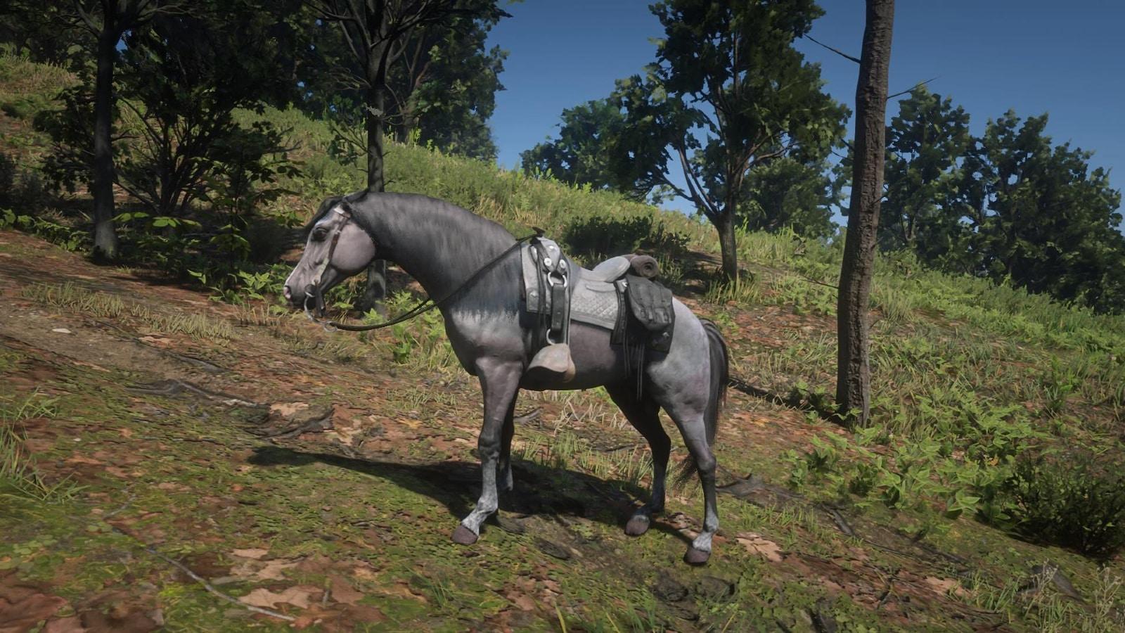 the Rose Bay Grey Arabian, the best horse in red dead redemption 2