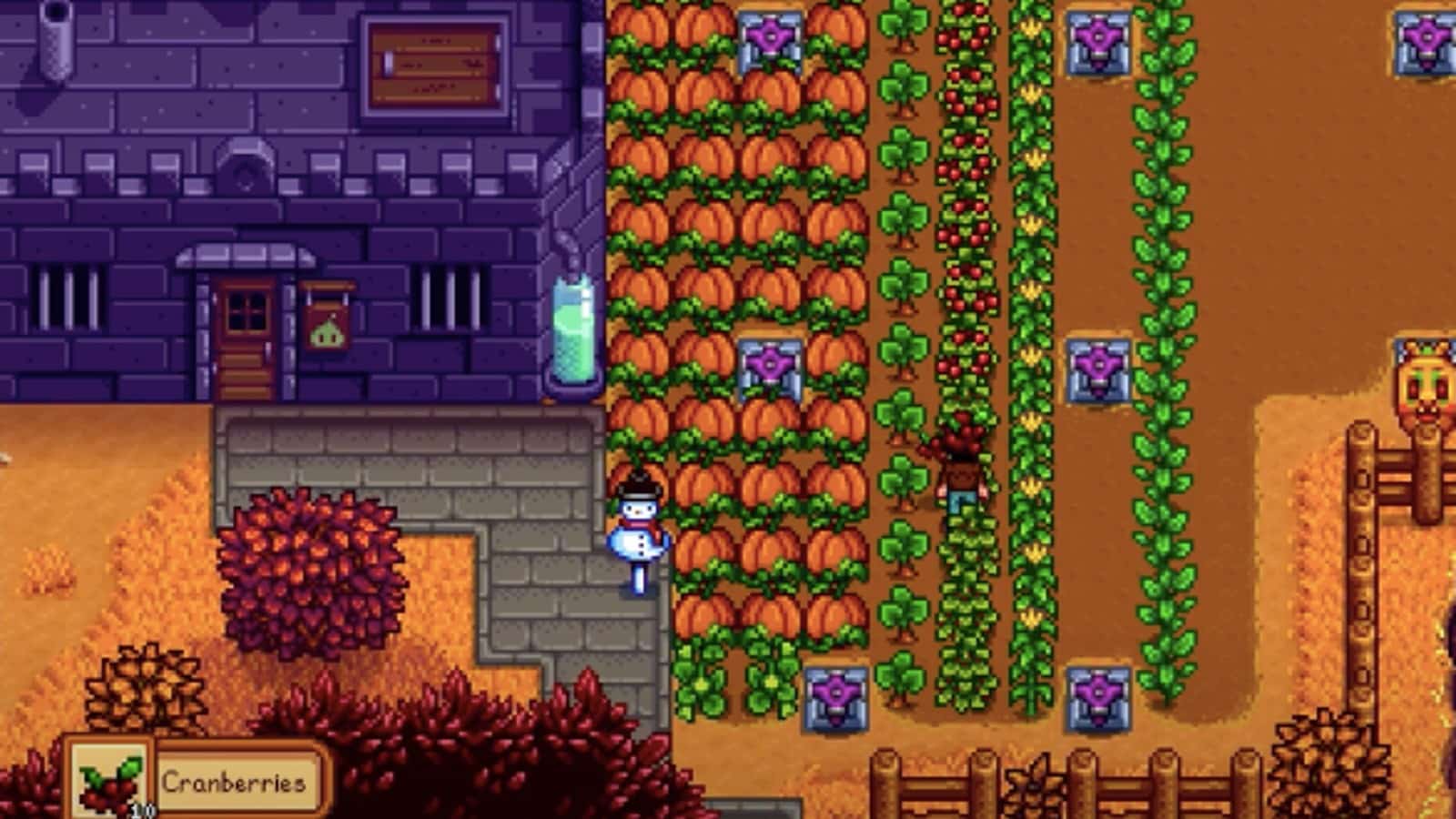 a stardew valley character harvesting cranberries and pumpkin crops