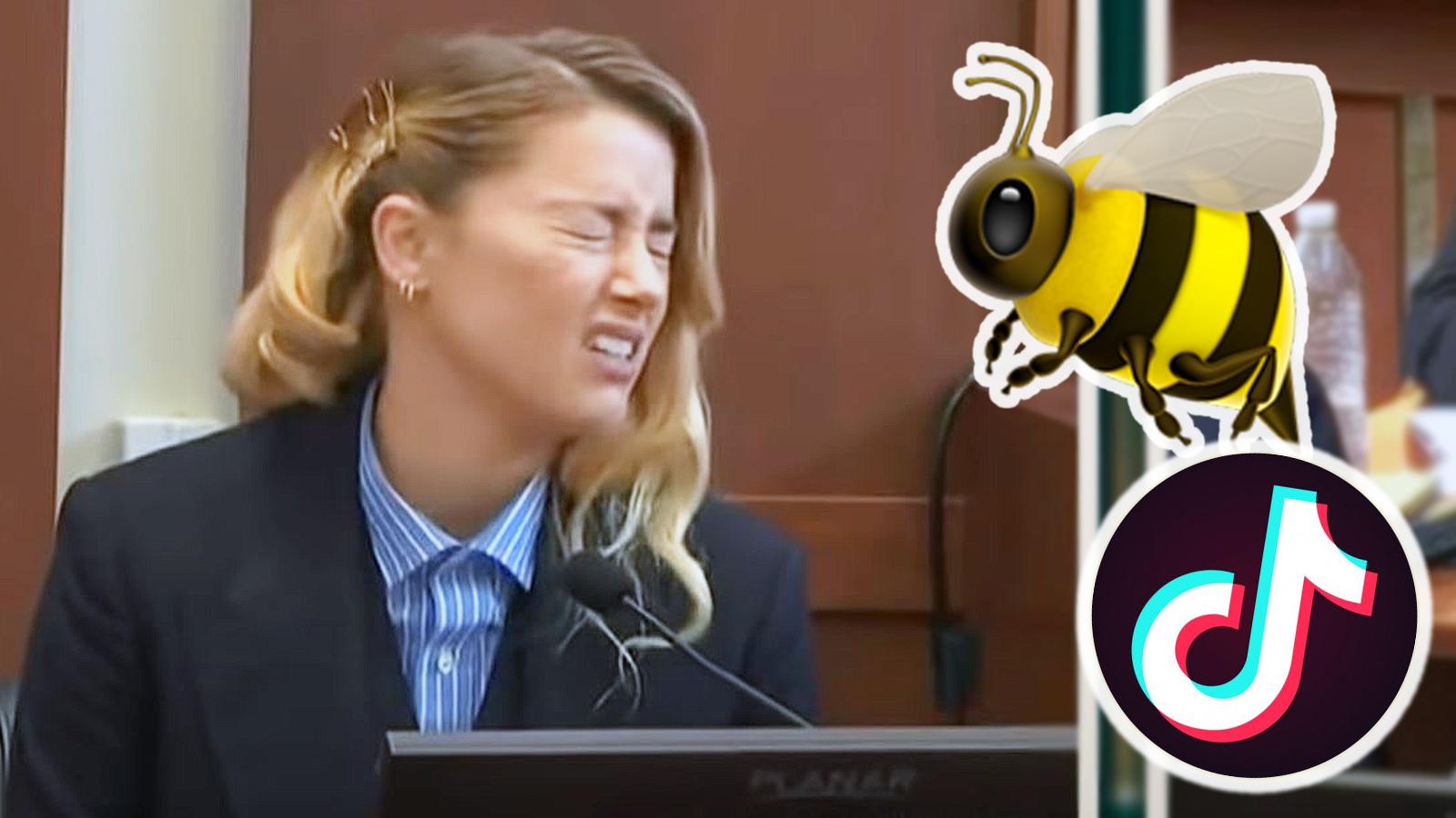 What is 'my dog stepped on a bee' on TikTok? Depp vs Heard clip goes viral  - Dexerto