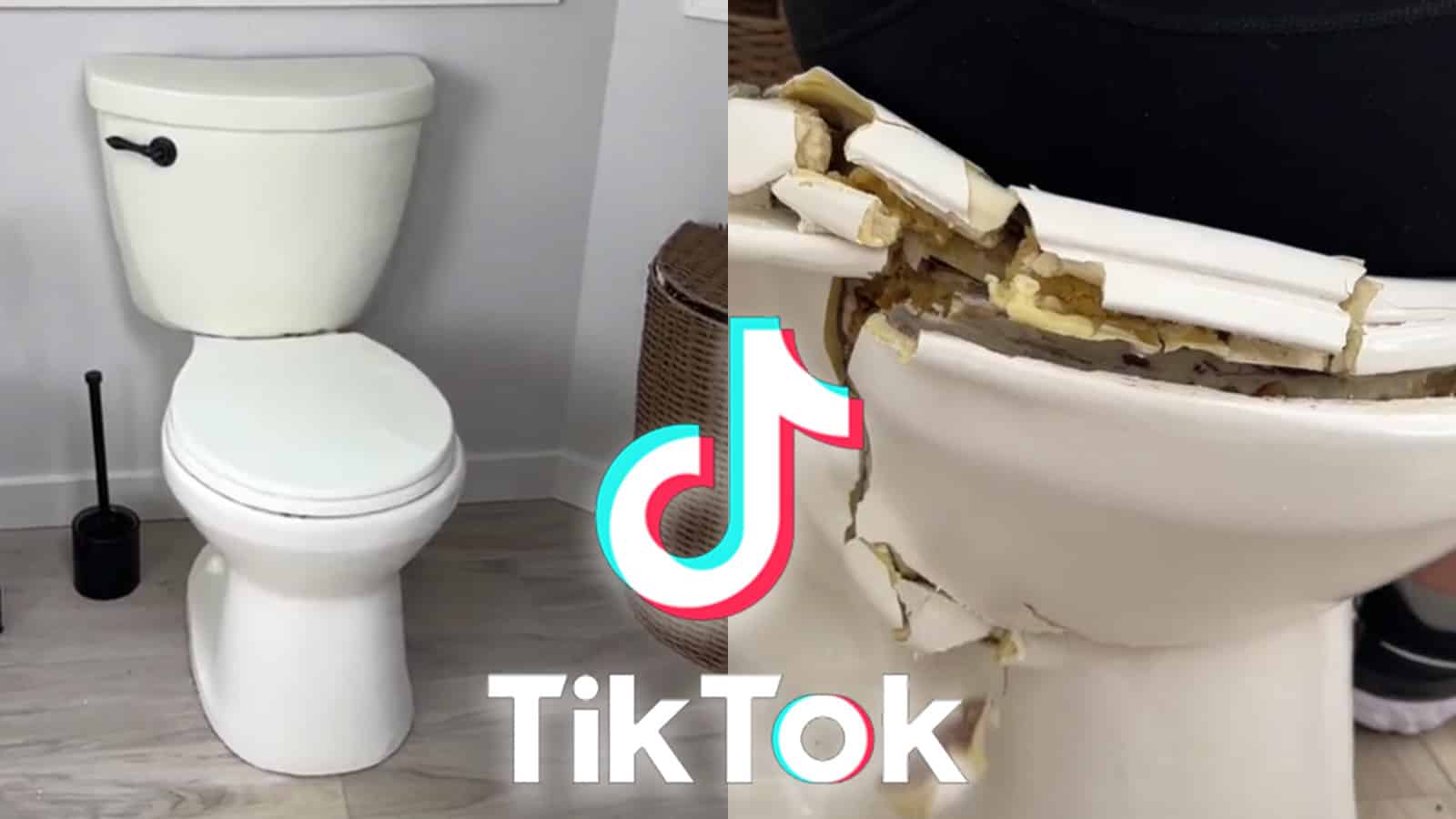 TikToker reveals what happened after MrBeast “stole” her toilet ...