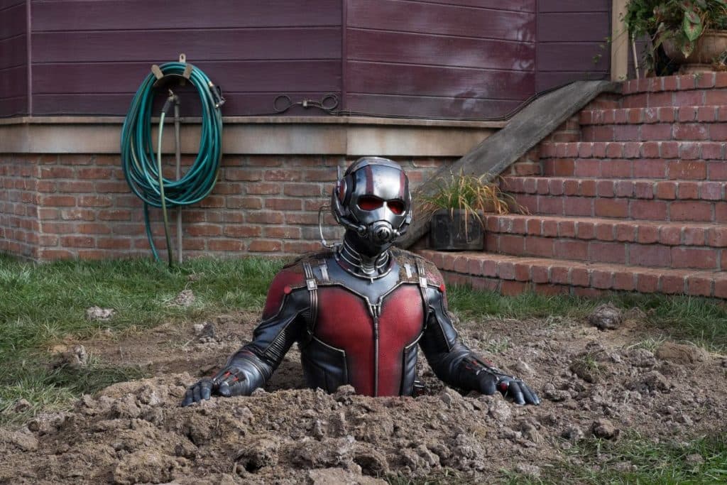 Paul Rudd as Ant-Man in the Marvel Cinematic Universe