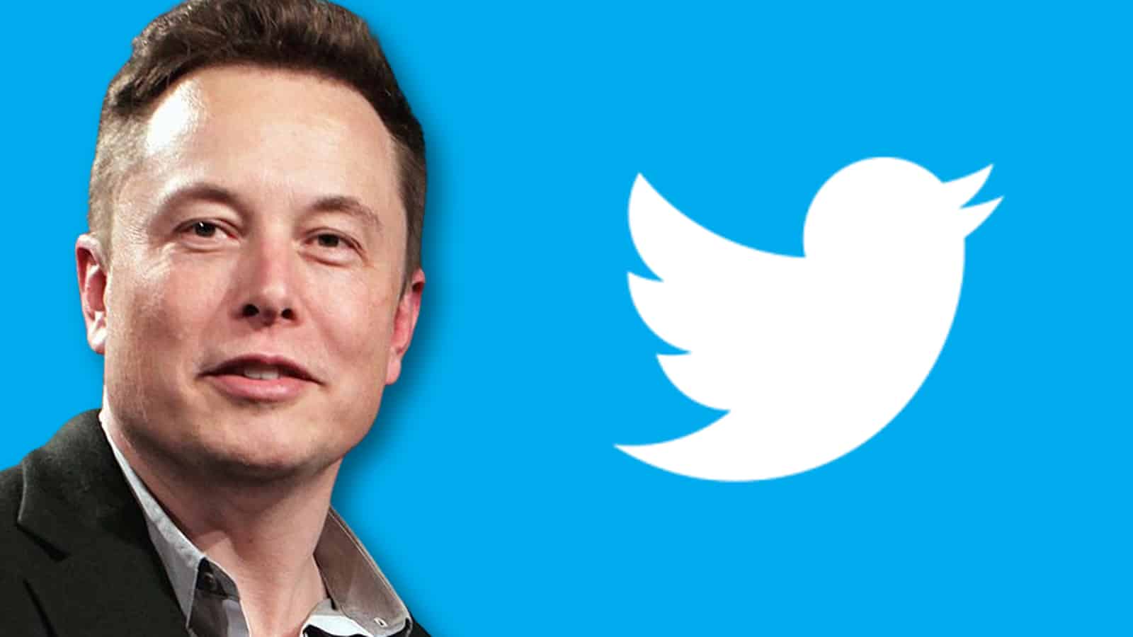 Elon Musk on Twitter deal bot numbers