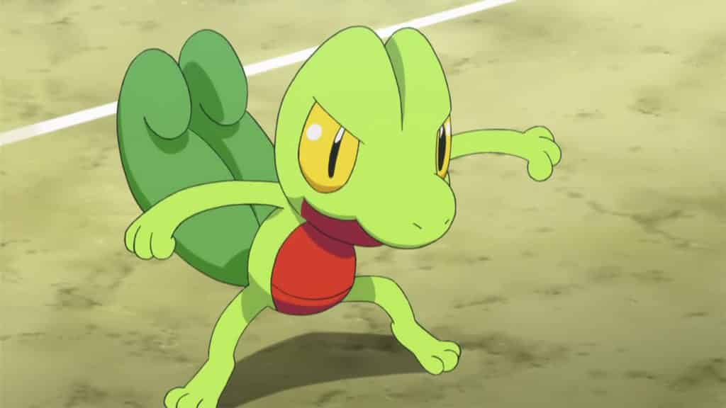 Treecko in the Pokemon anime