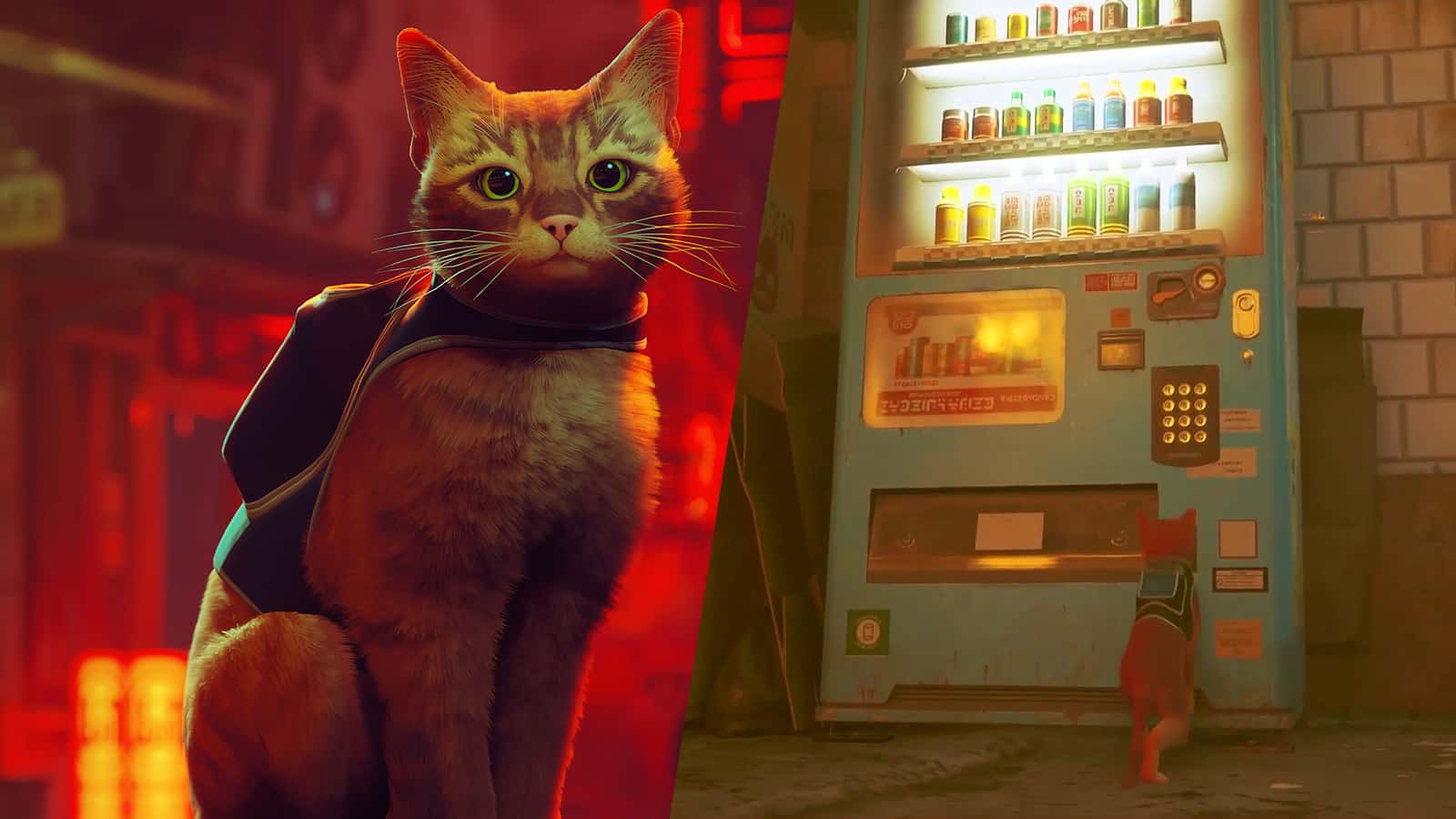 an image of vending machine in Stray