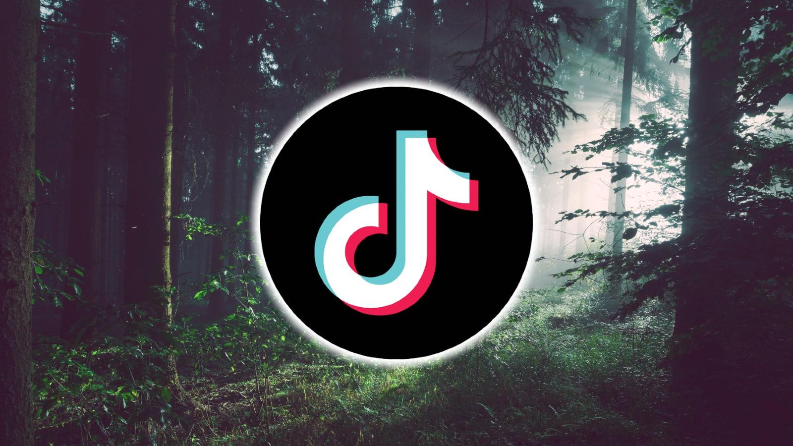 TikTok logo in the middle of a forest