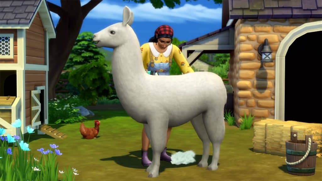 A llama being brushed by a Sim in Cottage Living