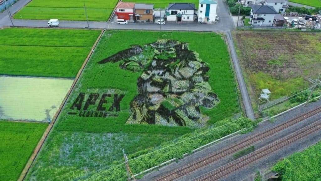 apex legends bloodhound rice paddy art Koshigaya City, Japan