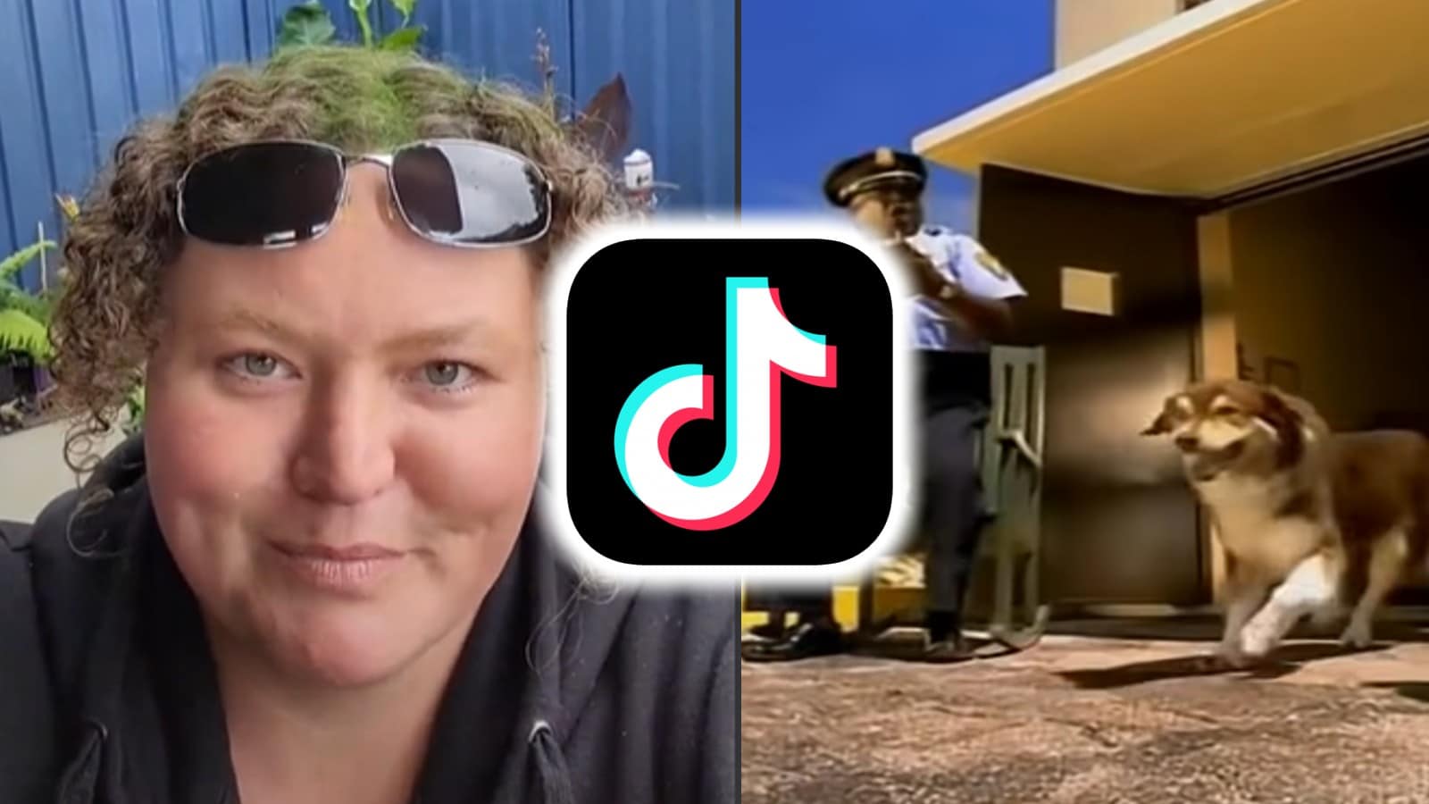 TikToker saphirejess talking to the camera with TikTok logo and screenshot from 'Who Let The Dogs Out' music video