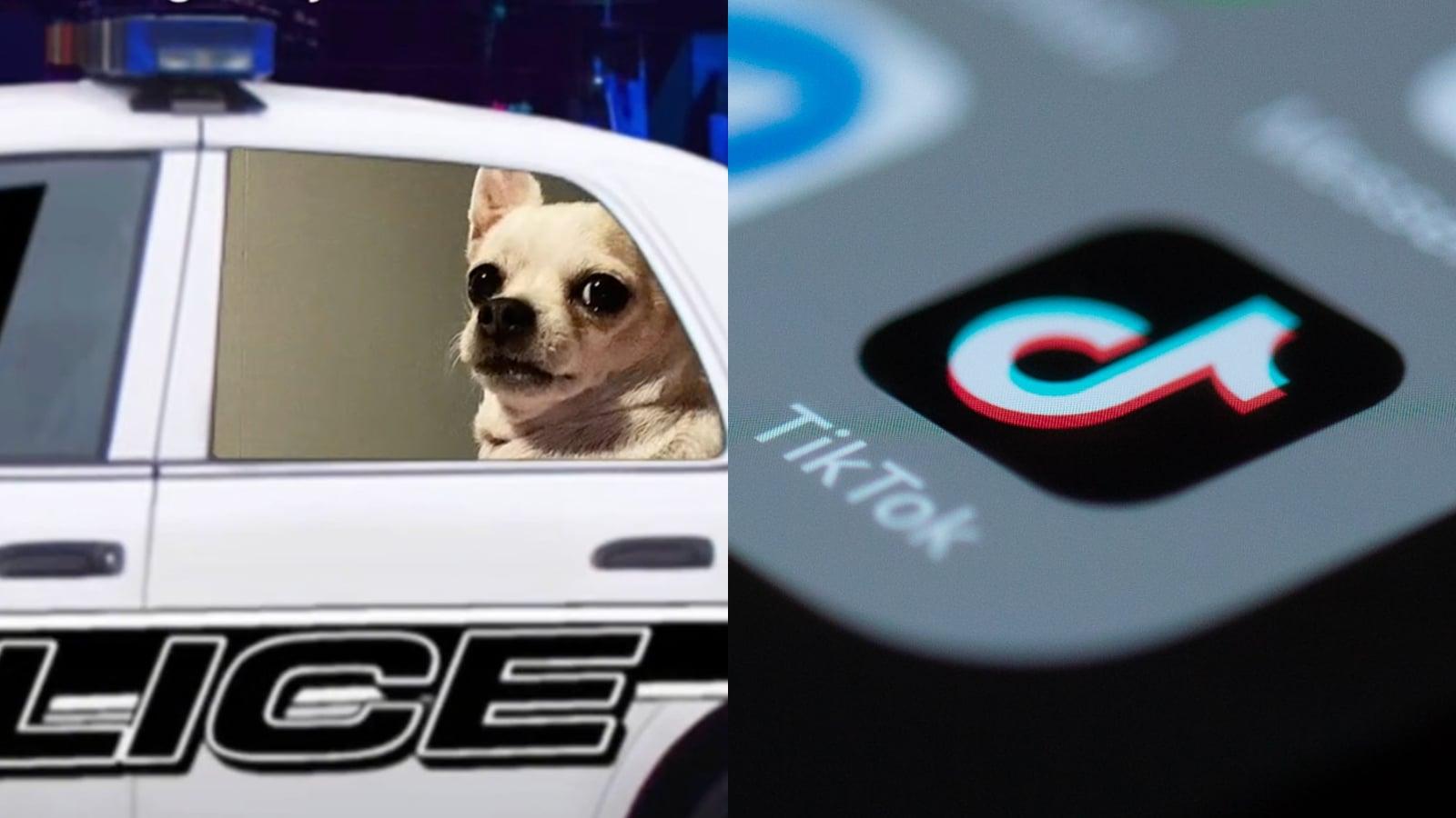 Police car filter on TikTok next to logo