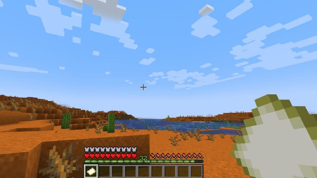 A blank Minecraft map