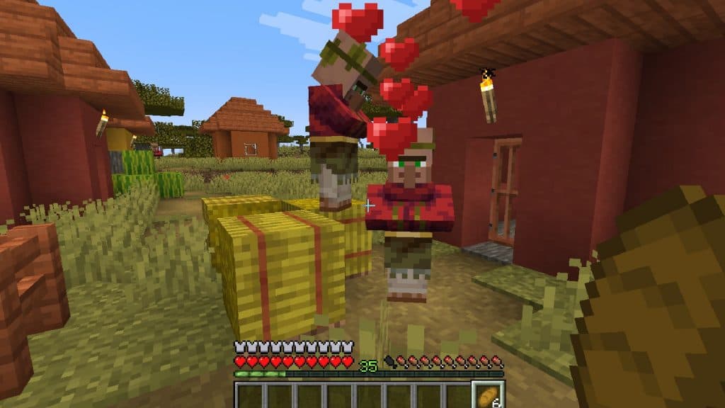 Minecraft Villagers Love