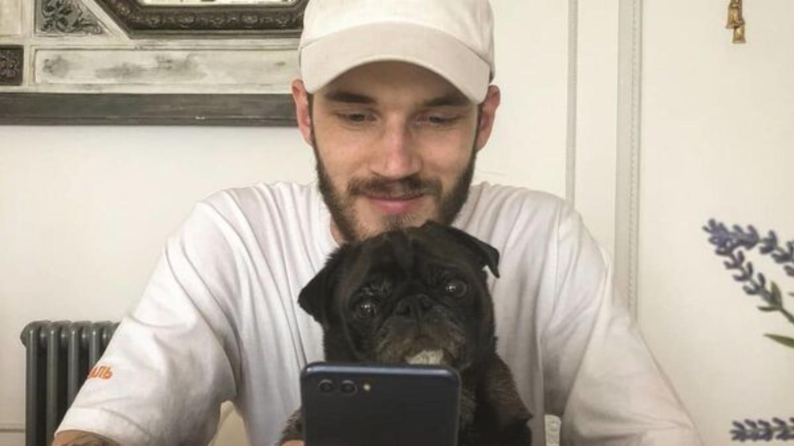 Pewdiepie's dogs invited to promote japan tourism