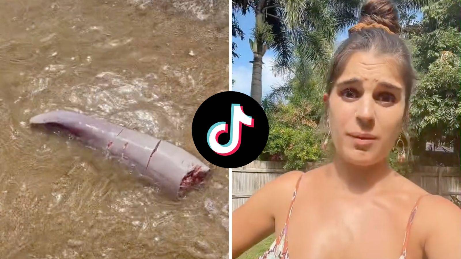 TikToker goes viral after finding whale penis on the beach