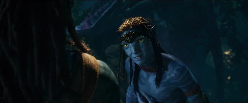 James Flatters as Neteyam in Avatar 2