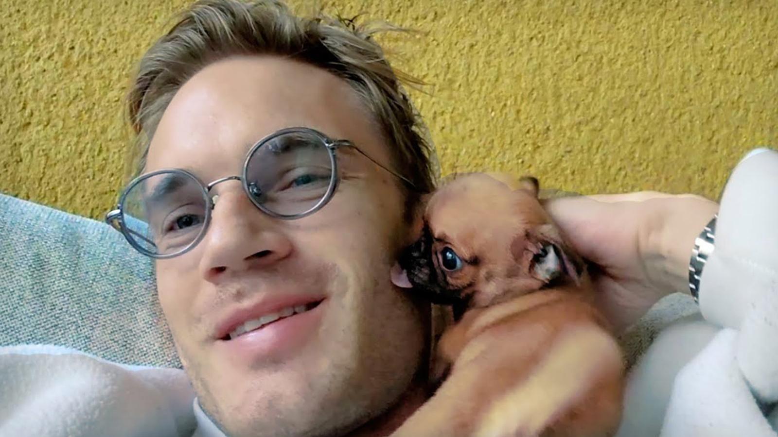 PewDiePie introduces new puppy momo after maya's passing