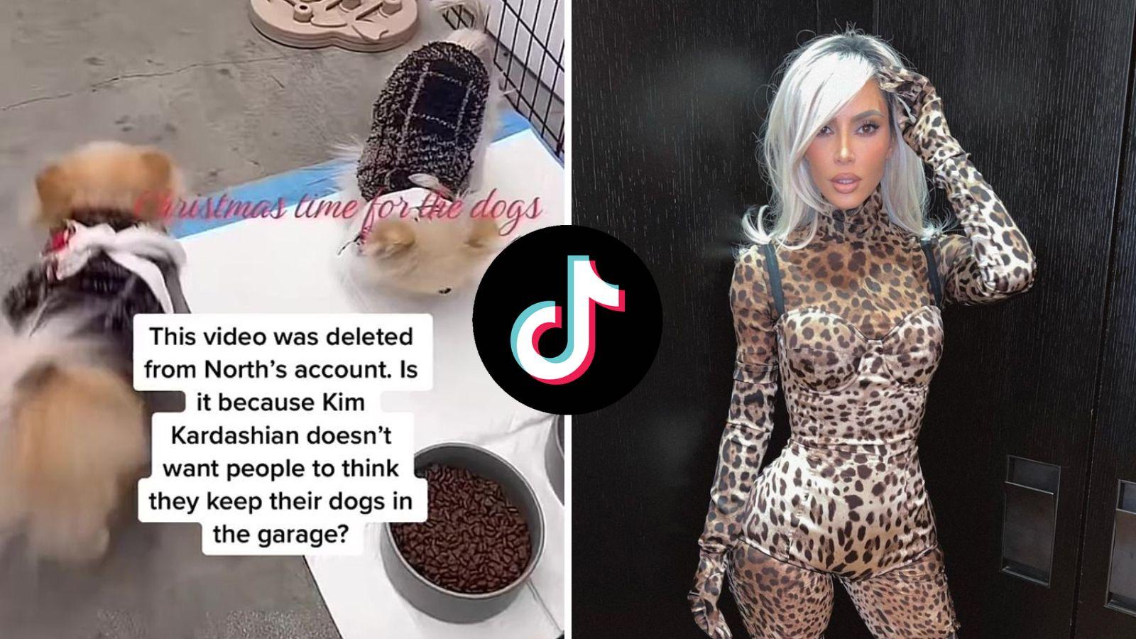 Kim Kardashian warned by PETA after video shows her dogs seemingly living in garage