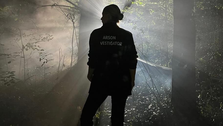 Sarah Michelle Gellar as an arson investigator in Wolf Pack.