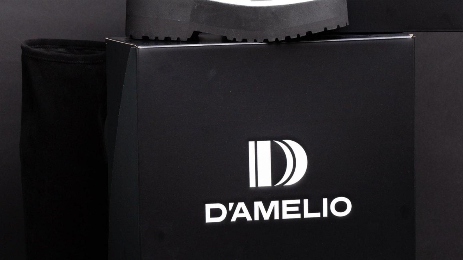 D'Amelio footwear header