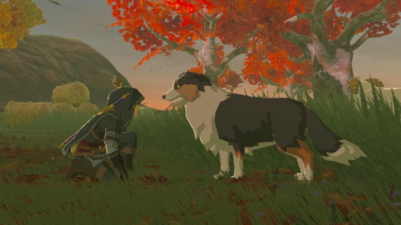 Legend of Zelda pet the dog