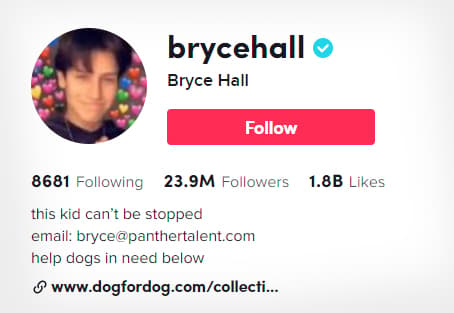 bryce hall tiktok profile copy
