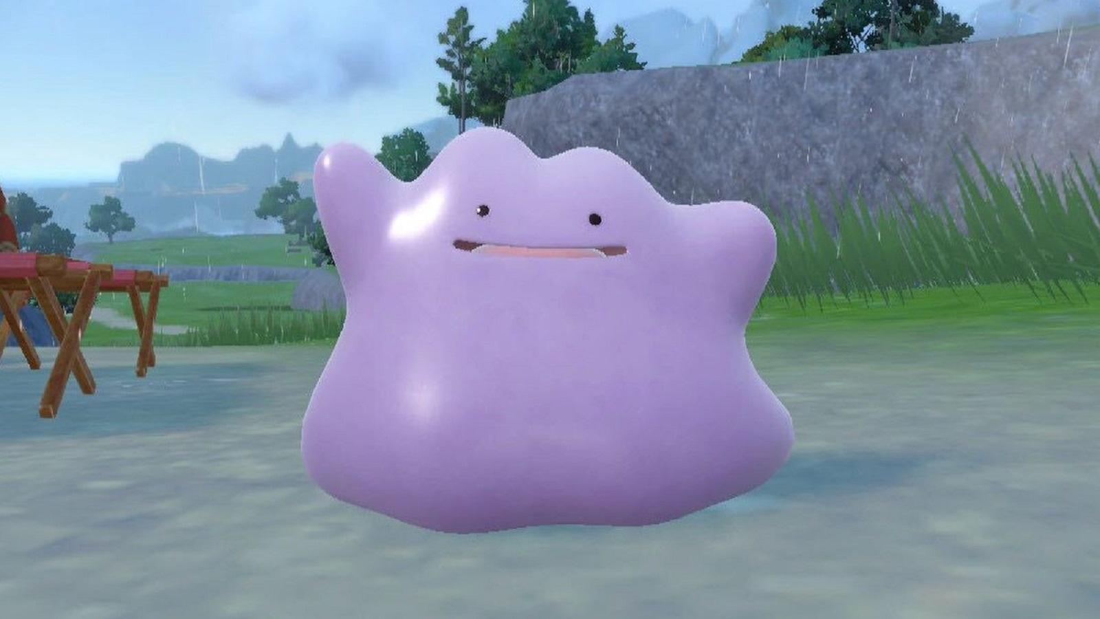 Where to find Ditto in Pokemon Scarlet & Violet - Dexerto