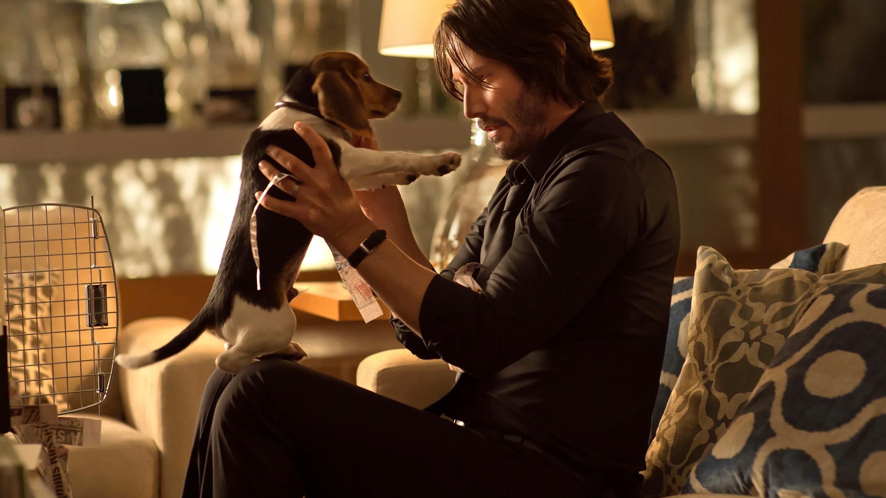 John wick holding his puppy in the first film.