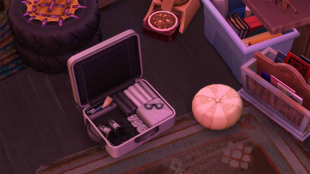 A suitcase from TS4