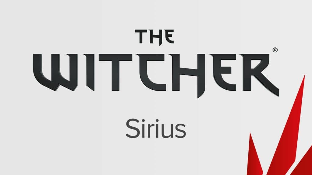 Witcher multiplayer game update