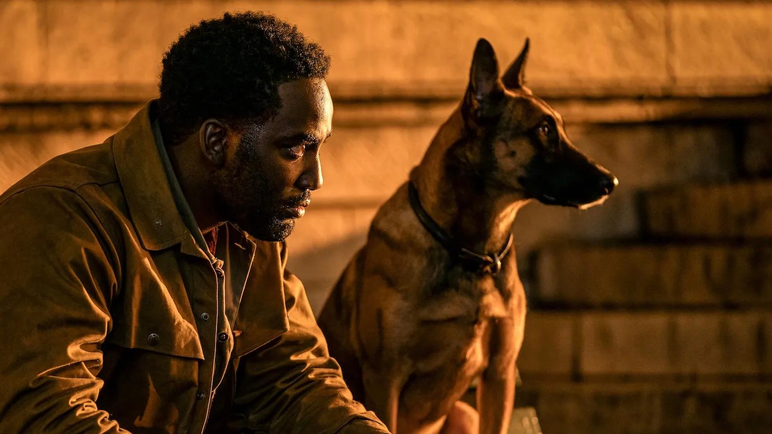 The dog in John Wick: Chapter 4.