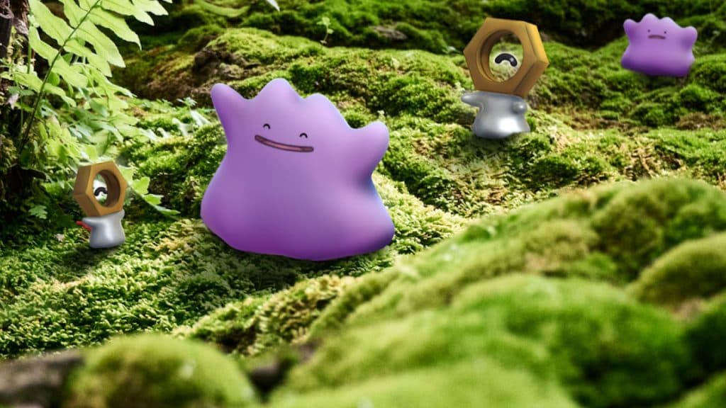 dittos together in pokemon go