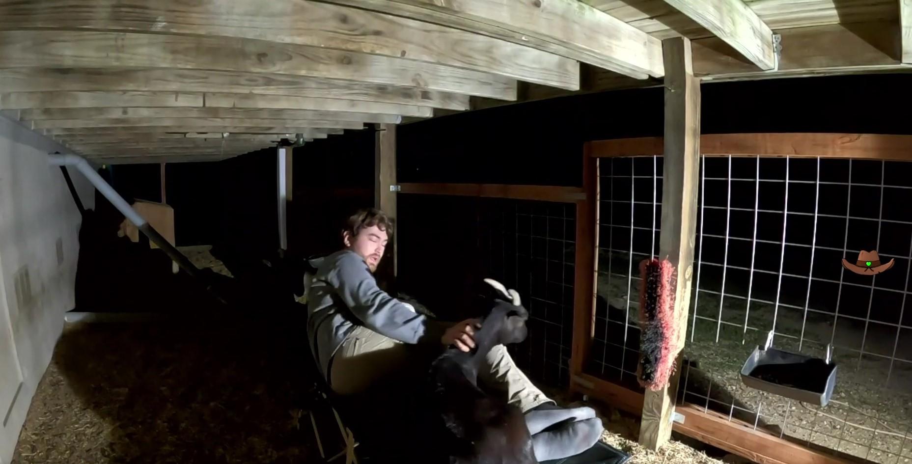 Streamer sleeps in goat pen
