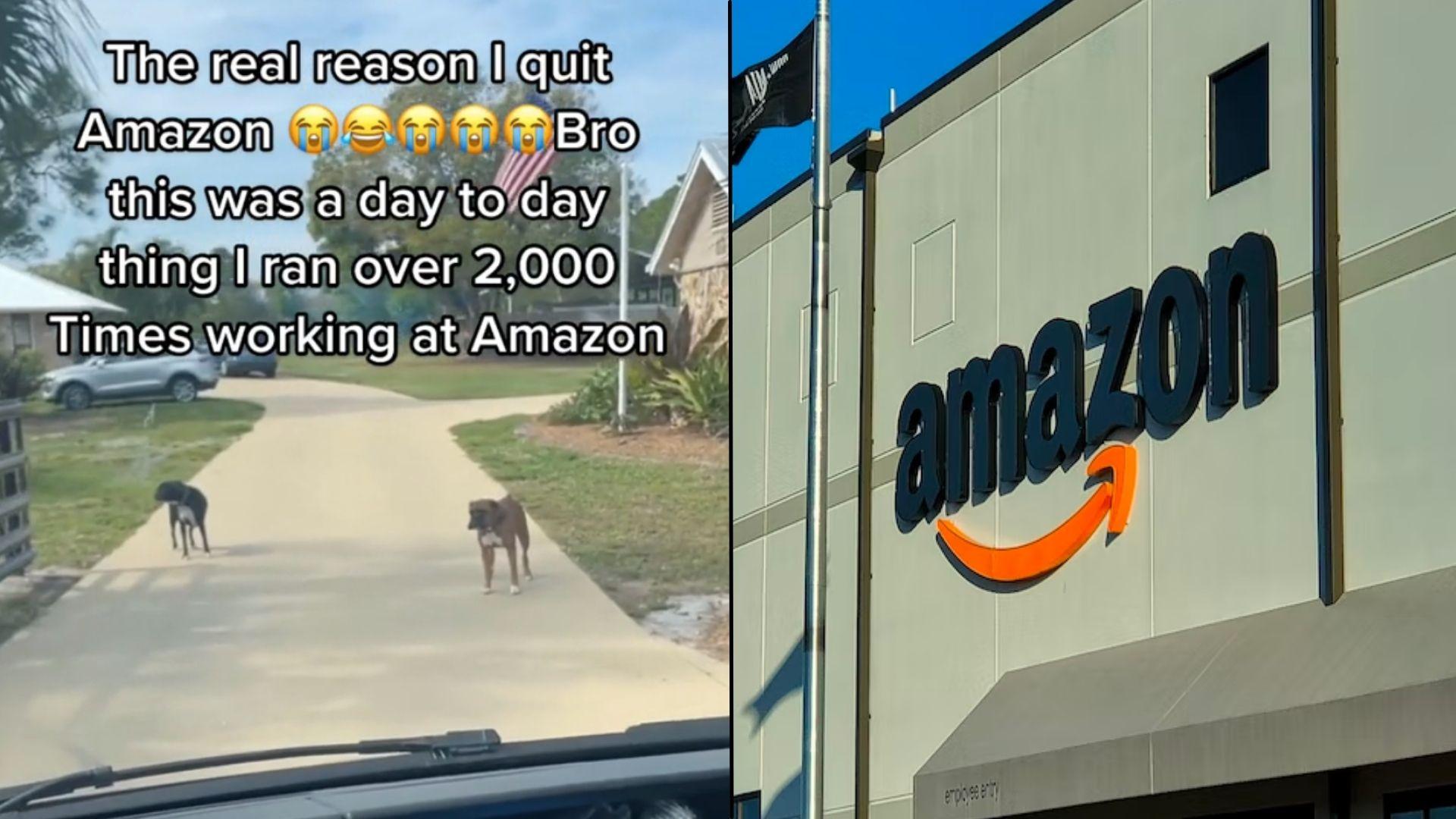 Screenshot of TikTok with dogs looking at car next to Amazon logo