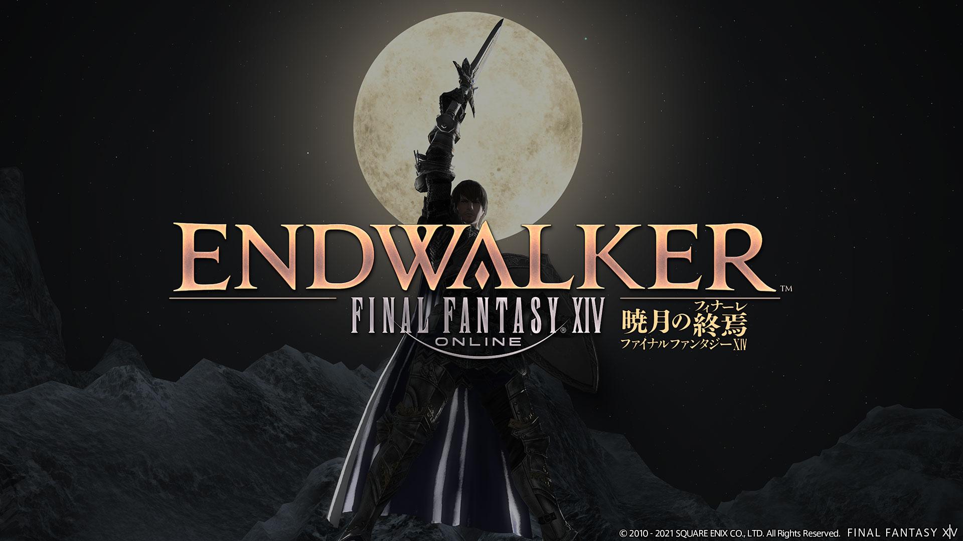 Final Fantasy XIV Endwalker with Paladin