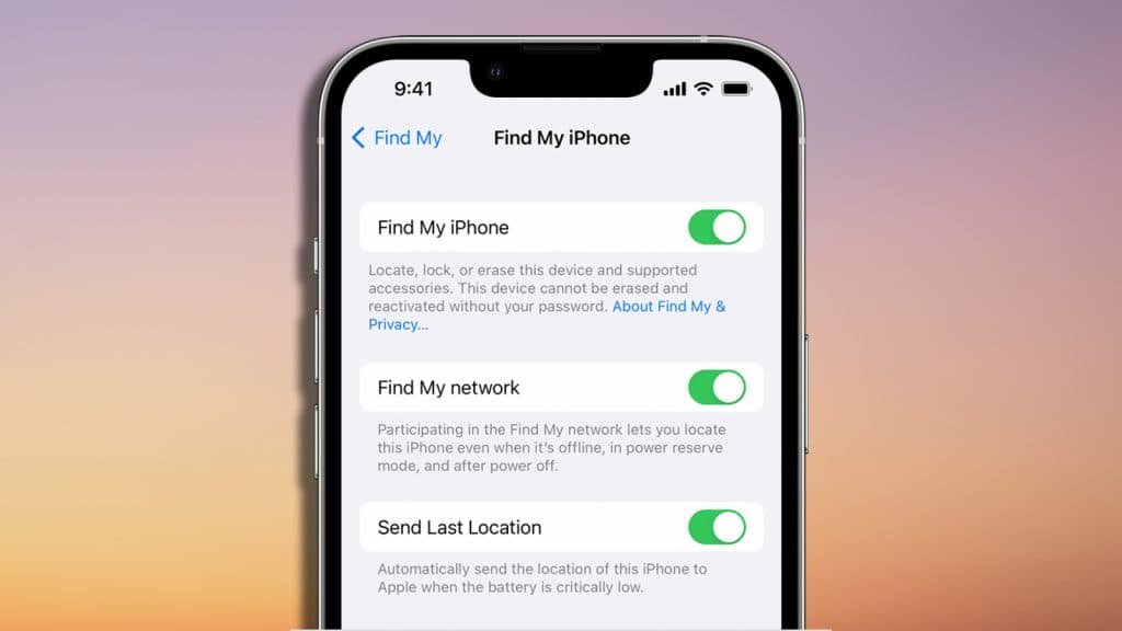 How to turn on the Find My network