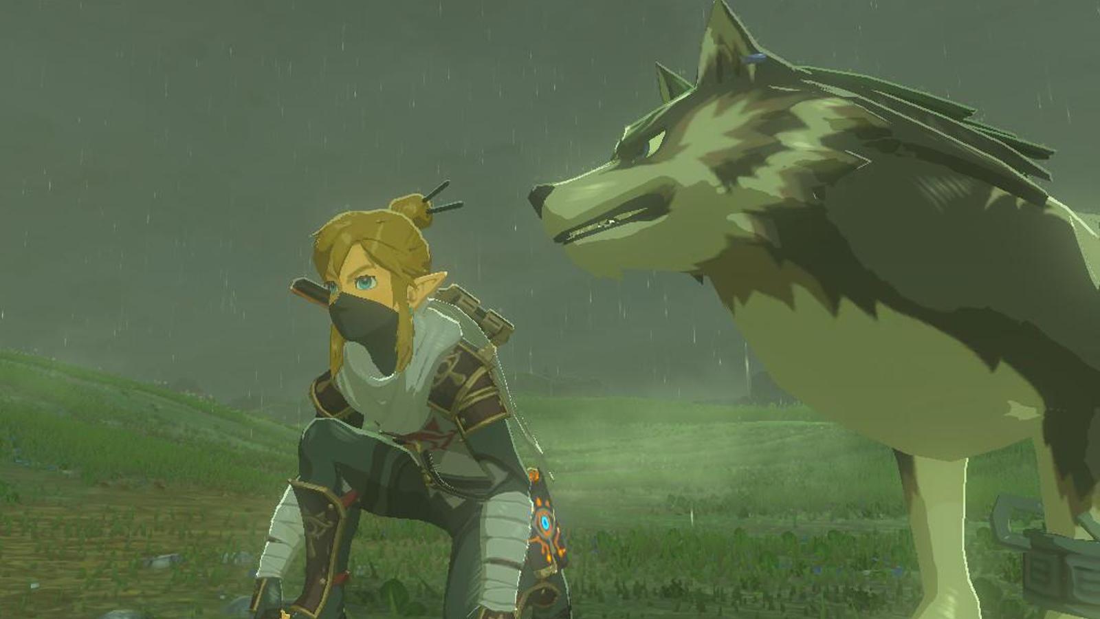 Wolf Link and Link plan an attack