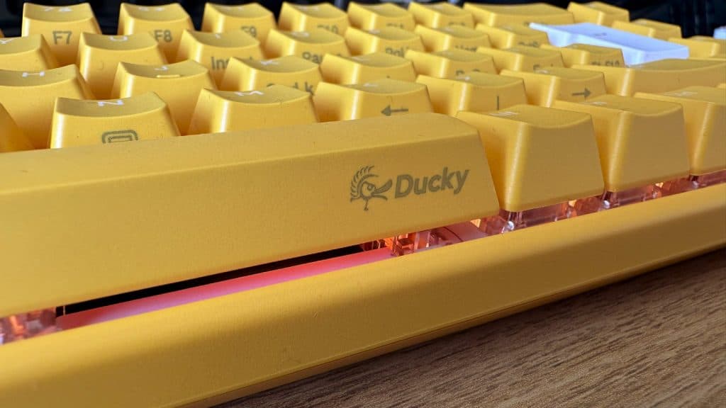 Ducke keyboard closeup