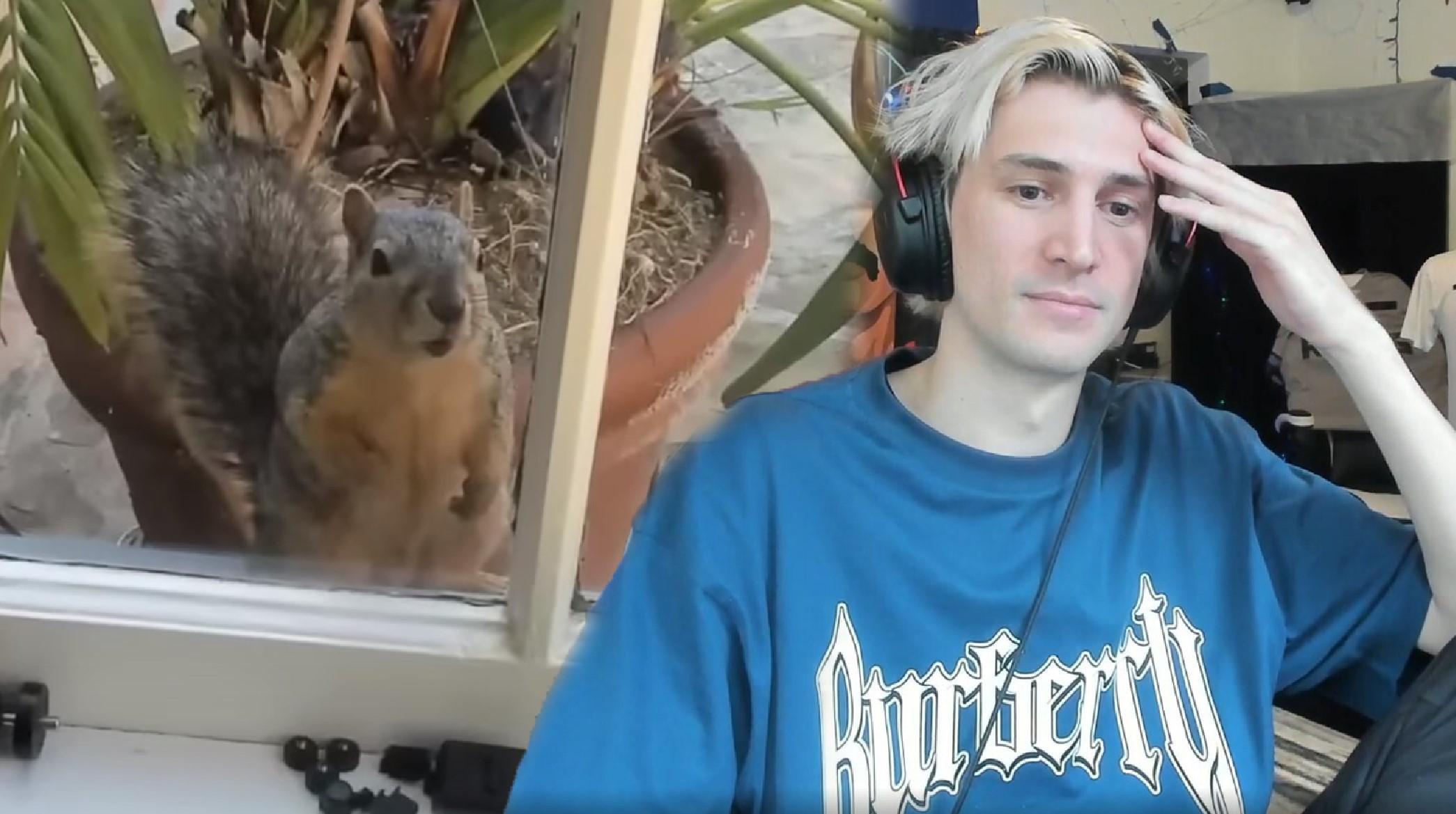 xQc and his squirrel