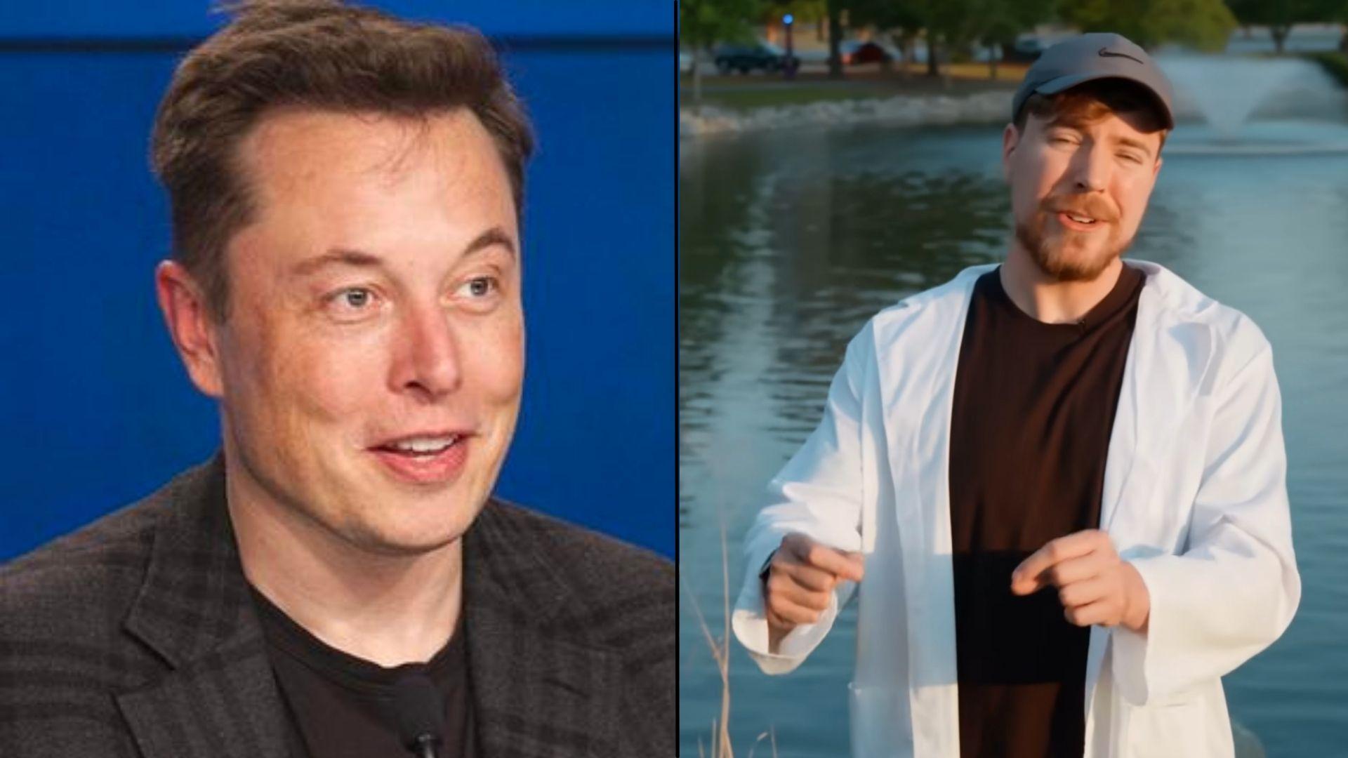 Elon Musk and MrBeast side-by-side