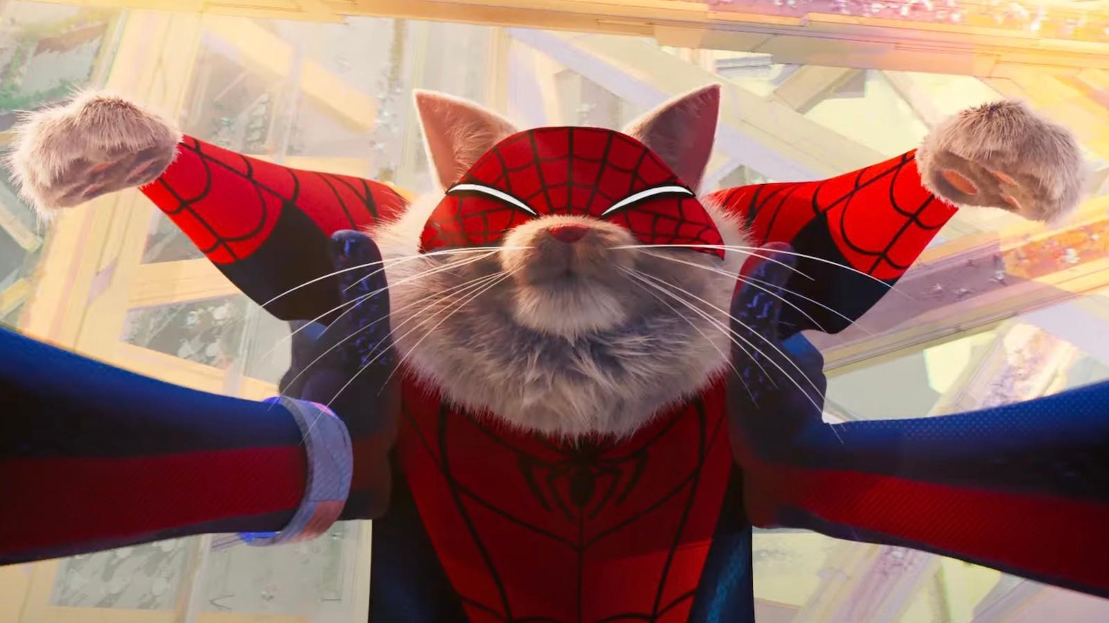 Spider-Cat in Across the Spider-Verse trailer