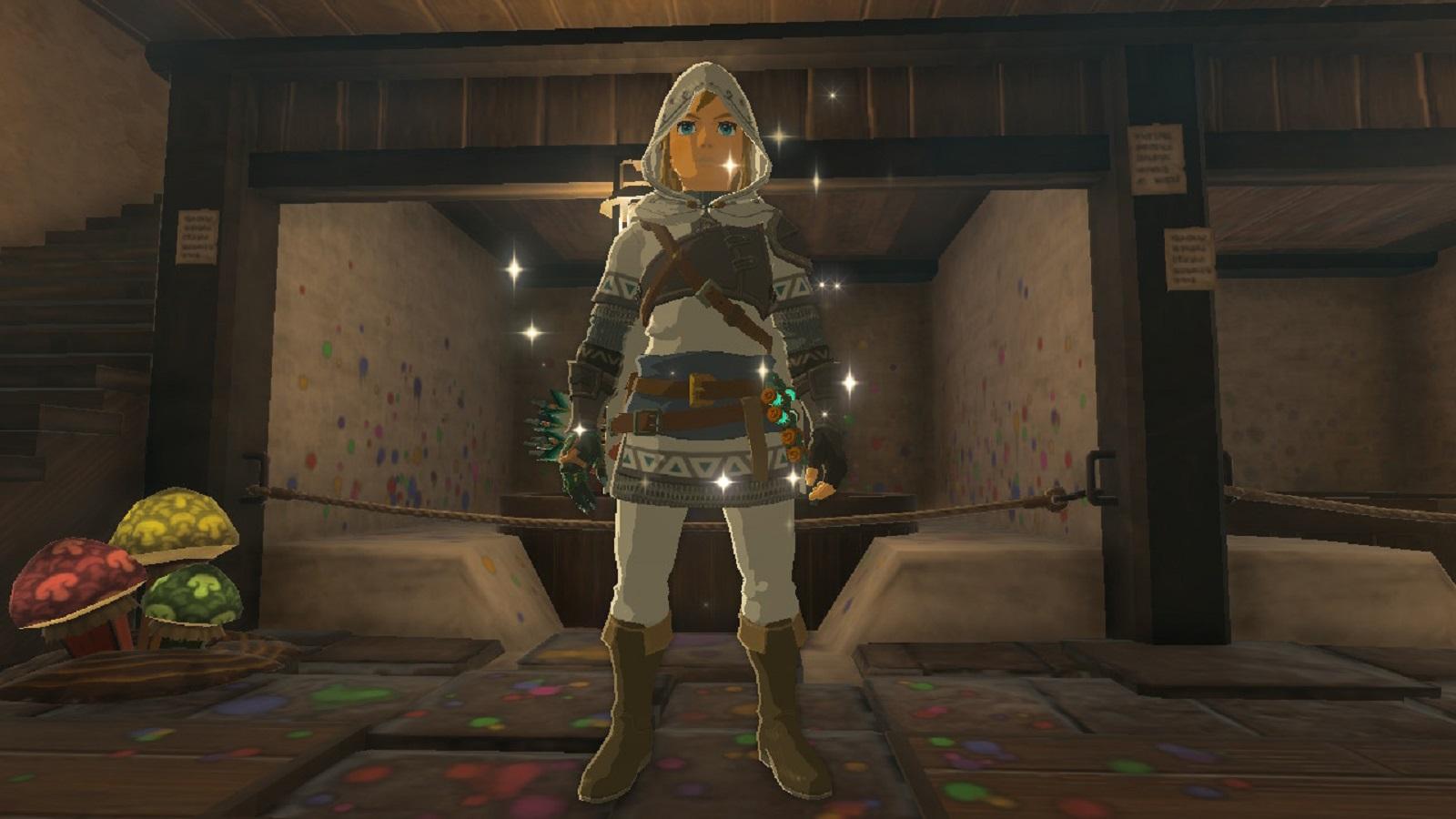 Link with dyed armor