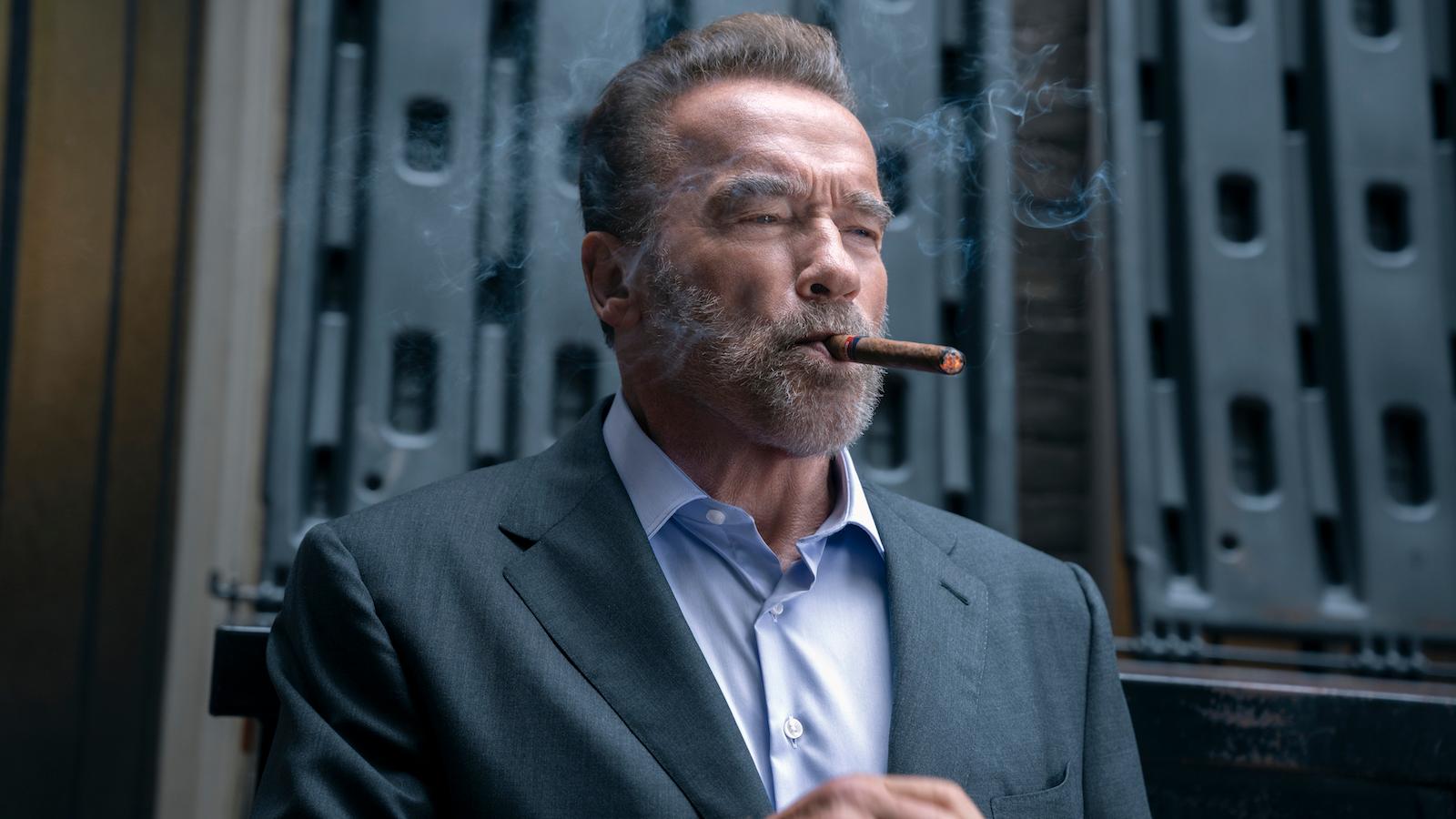 Arnold Schwarzenegger as Luke Brunner in FUBAR