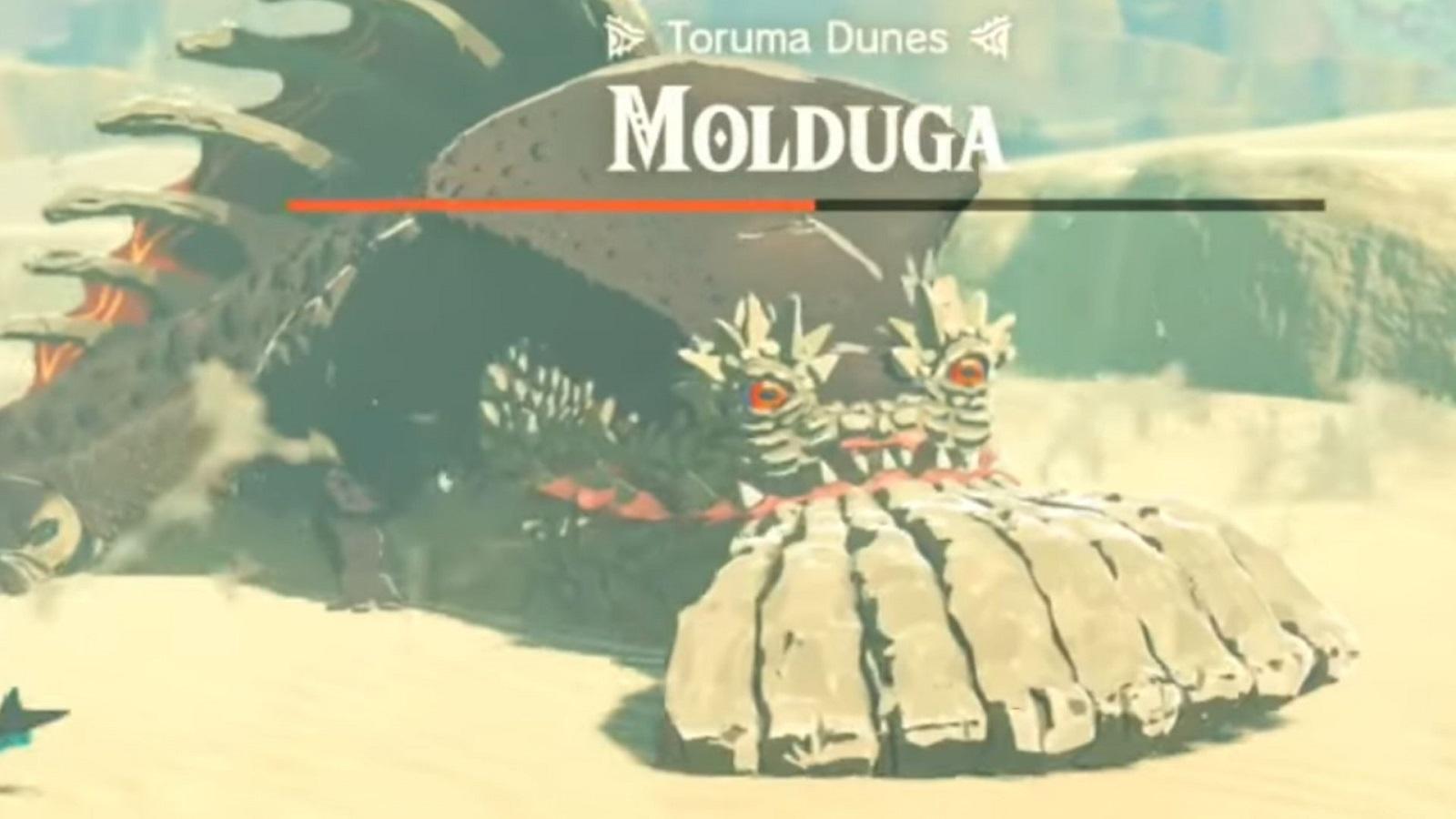 Molduga boss fight in Zelda: Tears of the Kingdom