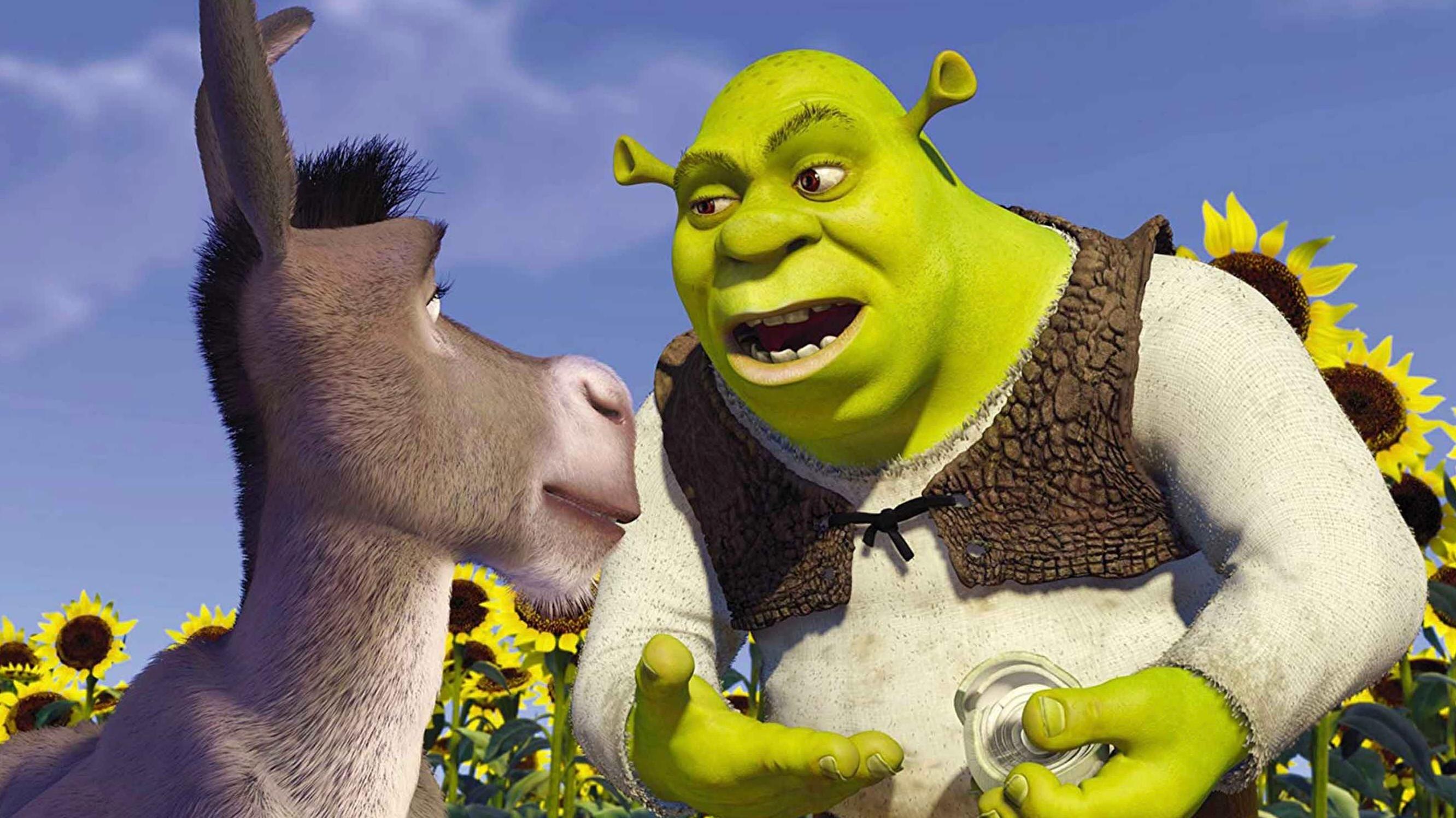 Donkey and Shrek in Shrek.