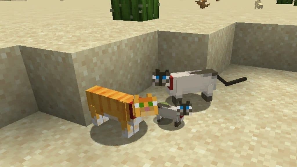 An image of cats in Minecraft.