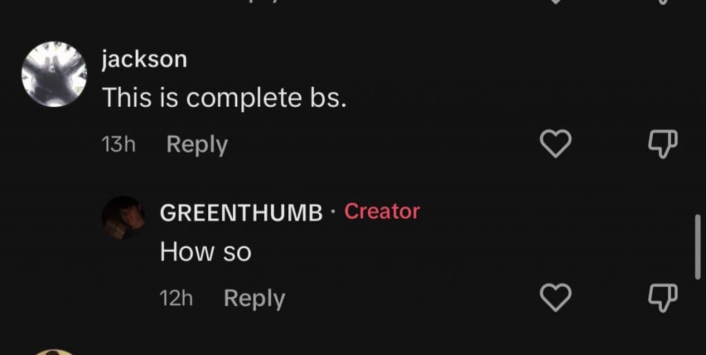 Screenshot of greenthumbgotbands' comment section on tiktok