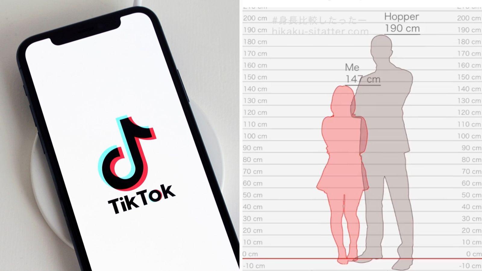 TikTok logo on a phone. Screenshot of a height comparison tool.