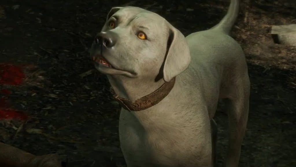 an image of Scratch the Dog in Baldur's Gate 3
