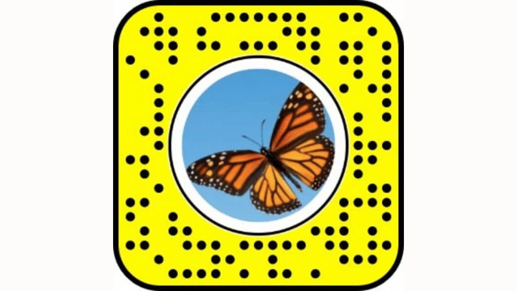 Butterflies Lens Snapcode